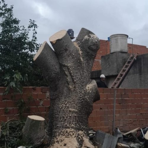 WhatsApp Image 2025-12-31 at 11.18.57 PM