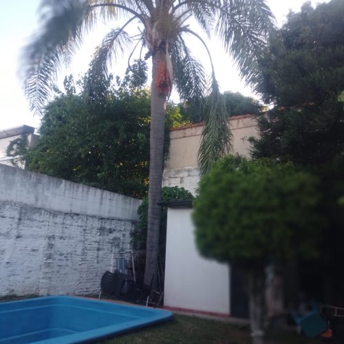 WhatsApp Image 2025-12-31 at 8.41.17 PM