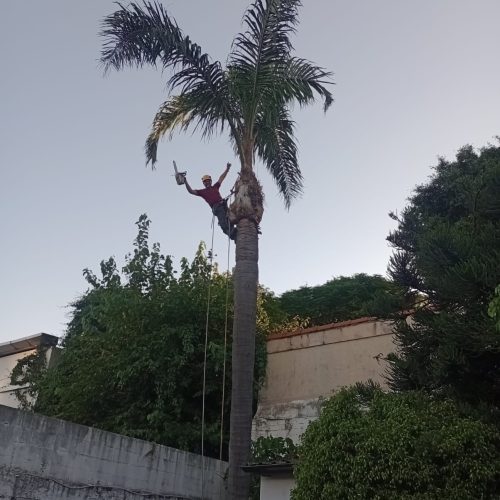 WhatsApp Image 2025-12-31 at 8.41.18 PM