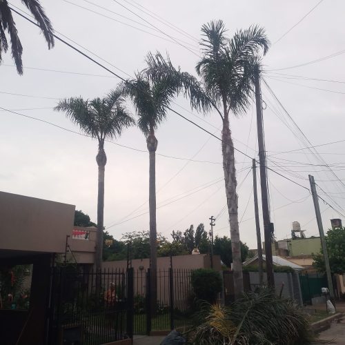 b10e9a34-79f3-45f7-aaa2-27fdbffff86e